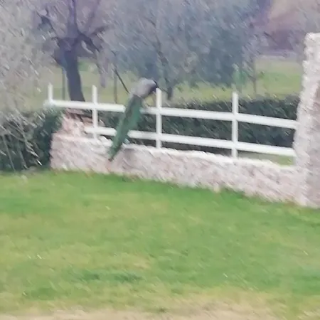 Residenza Nosy Be Vakantiehuis *