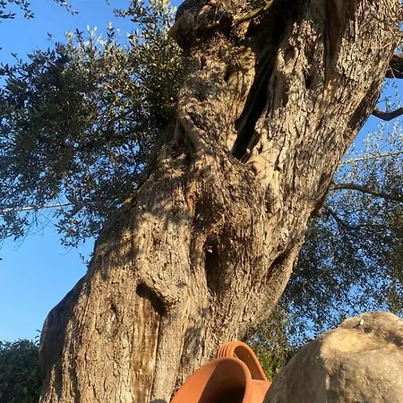 Residenza Nosy Be * Palombara Sabina