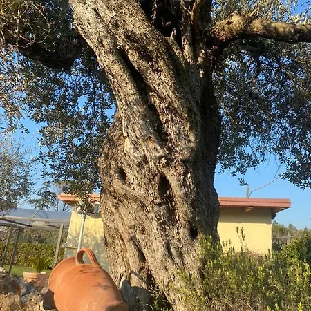 Holiday home Residenza Nosy Be